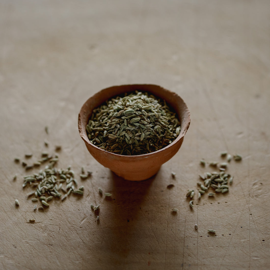 Organic Fennel Seeds