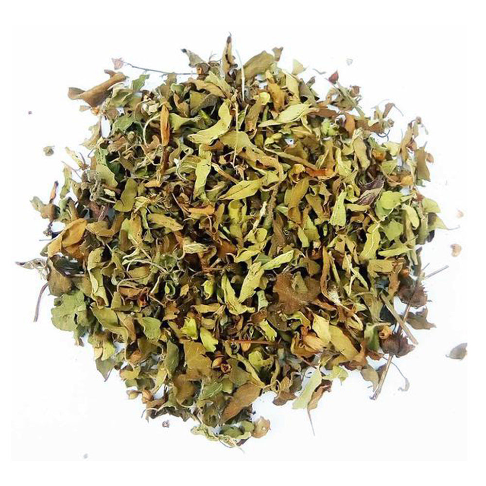 Tulsi Leaf Organic Holy Basil